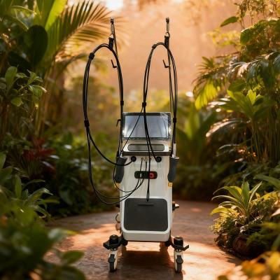 Double Handles Alexandrite 755Nm 1064Nm Hair Removal Machine
